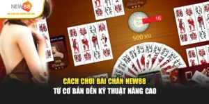 Cách Chơi Bài Chắn New88 Cơ Bản Đến Kỹ Thuật Nâng Cao