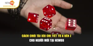 Cách Chơi Tài Xỉu Từ A Đến Z Cho Người Mới Tại NEW88