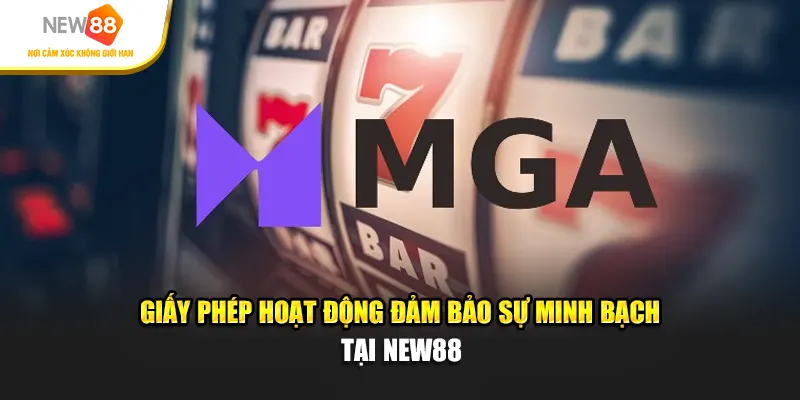 Giấy phép hoạt động đảm bảo sự minh bạch tại New88