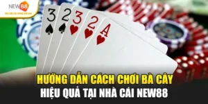 Hướng Dẫn Cách Chơi Bà Cây Hiệu Quả Tại Nhà Cái New88