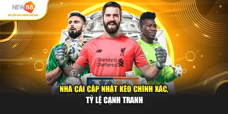 Nhà cái cập nhật kèo chính xác, tỷ lệ cạnh tranh